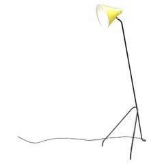 Grasshopper Floor Lamp by Willem Van Doorn, 1960s
