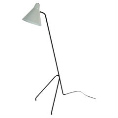 "Grasshopper" Floor Lamp, Van Doorn