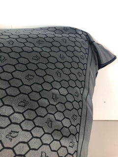 Gray and Black Dior Logo Silk Scarf and New Black Cotton Back Decorative Pillow