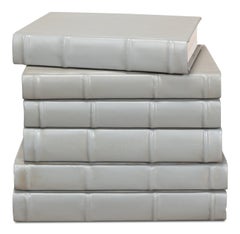 Juego de 12 libros grises en cuero y papel con acabado envejecido