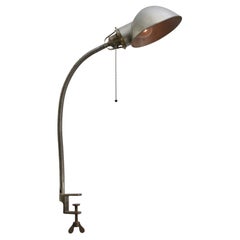 Gray Brass Metal Vintage Industrial Machinist Goose Neck Table Light Light