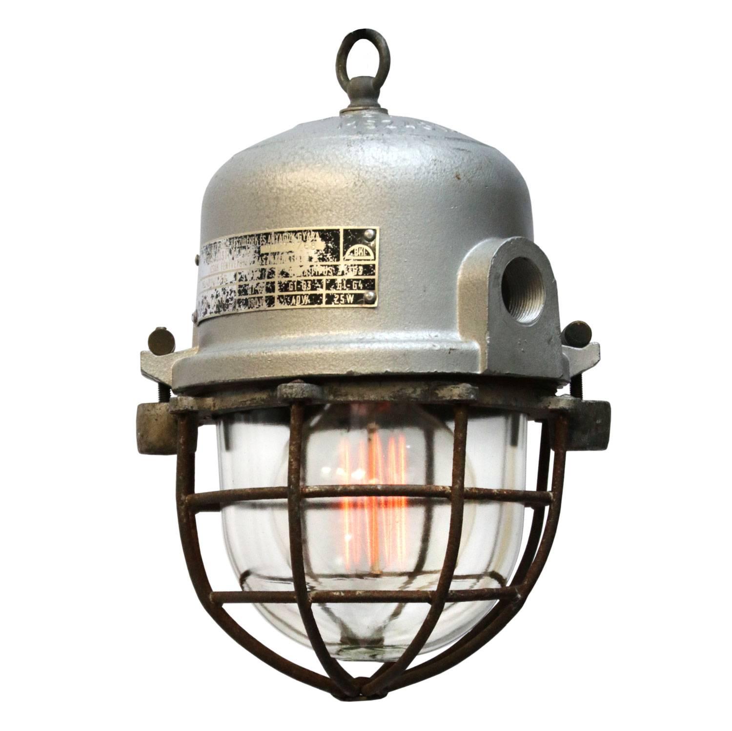 Gray Cast Aluminium Vintage European Industrial Cage Clear Glass Lamp