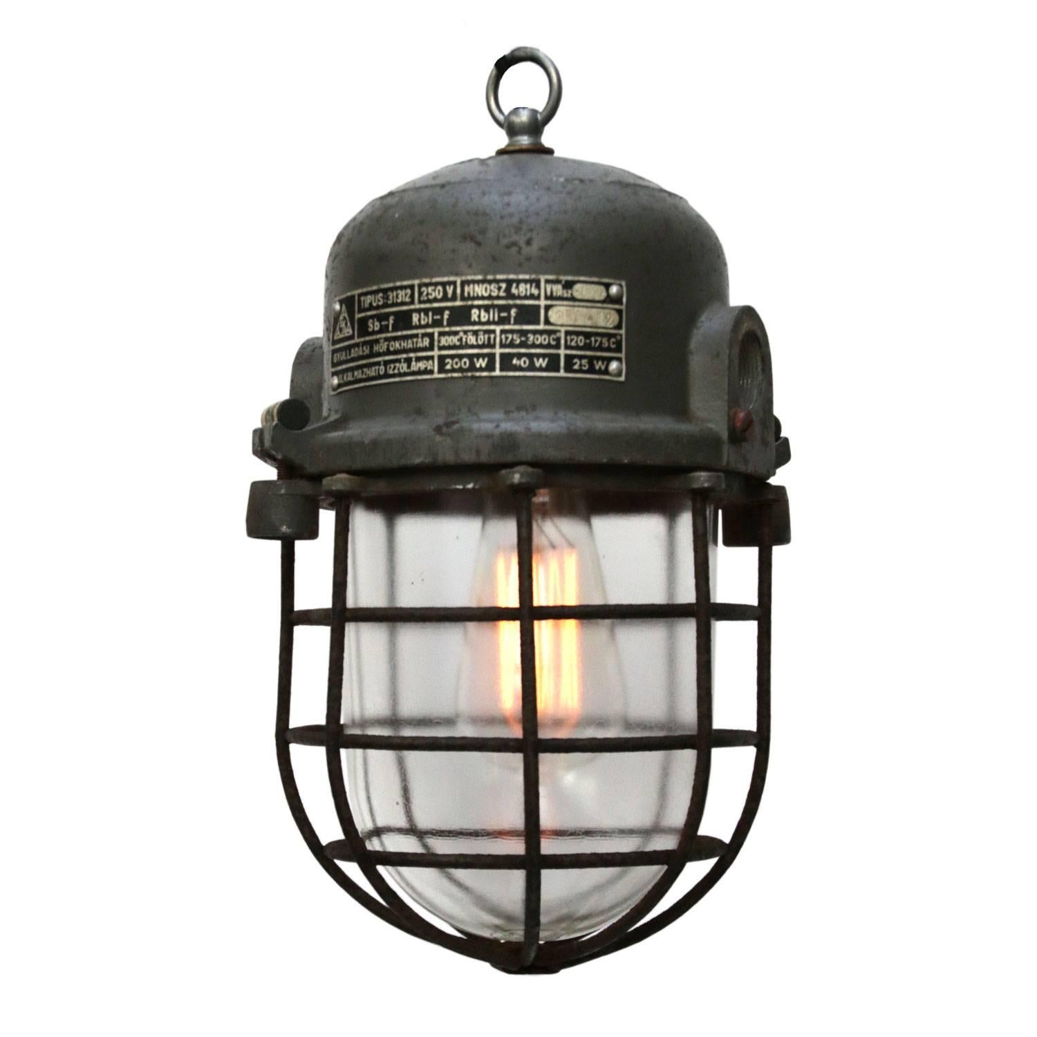 Gray Cast Aluminum Vintage European Industrial Cage Clear Glass Lamps