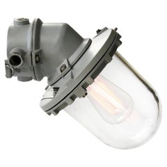 Gray Cast Aluminum Vintage Industrial Clear Glass Wall Lamps