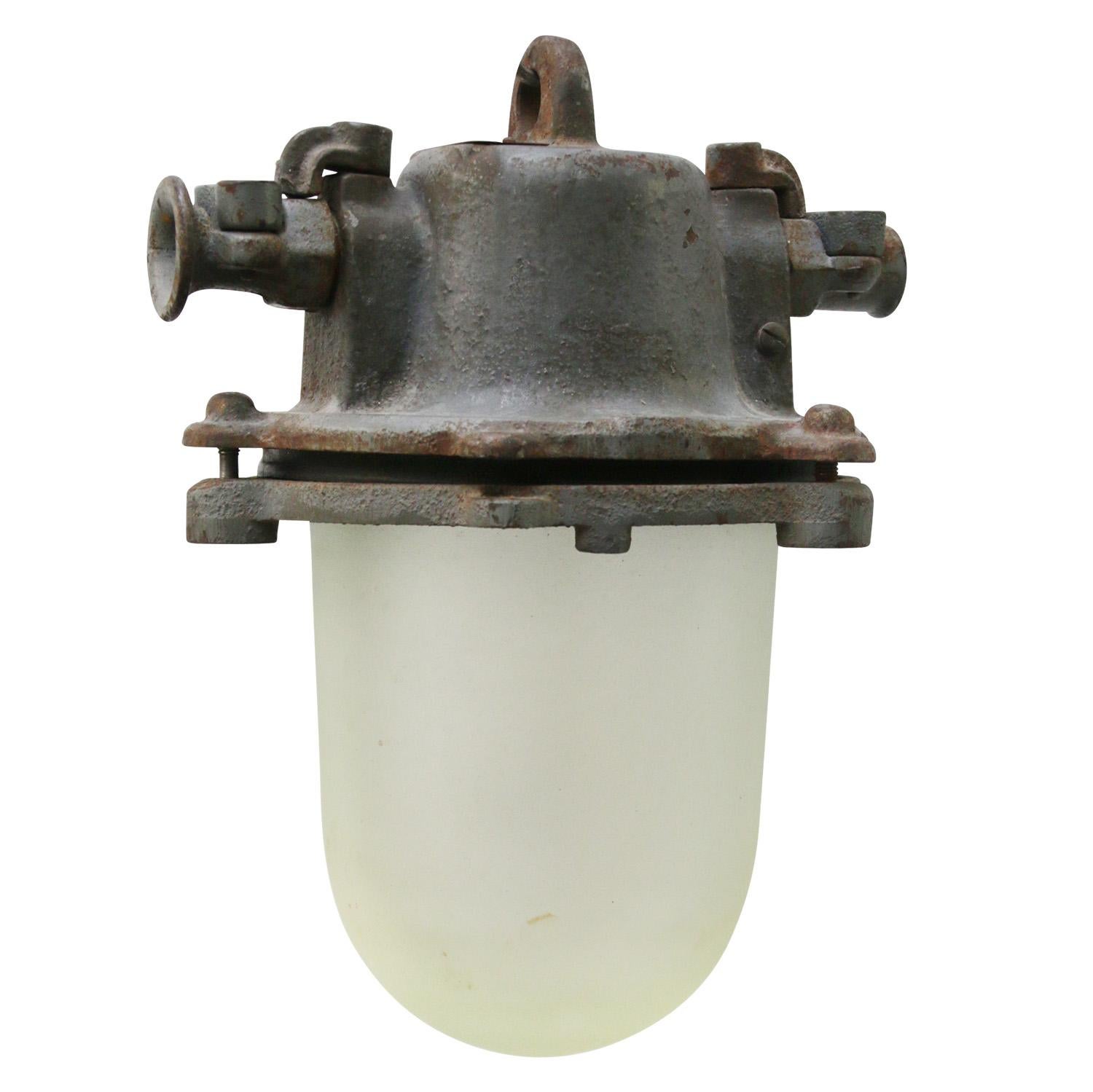 Gray Cast Iron Vintage Industrial Frosted Glass Pendant Lamp In Good Condition For Sale In Amsterdam, NL