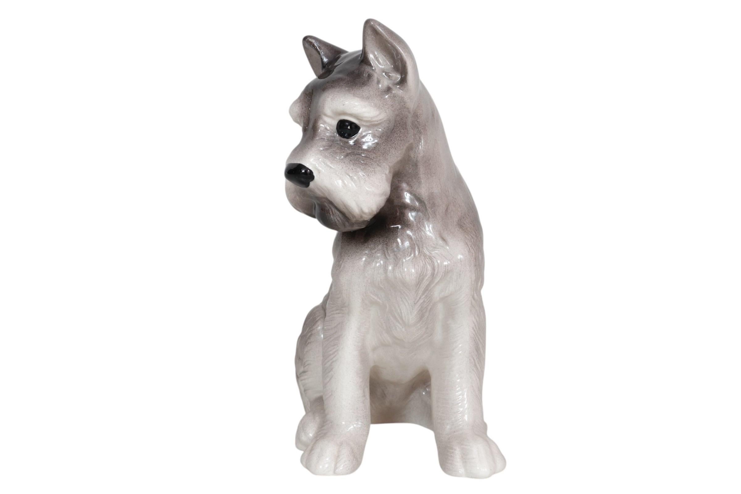 Una figura di cane schnauzer in ceramica bianca e grigia. Il calco è in posizione seduta con occhi e viso espressivi. Le orecchie sono posizionate in avanti e le linee dettagliano la pelliccia, le zampe e la coda. Firmato sotto B, 79.