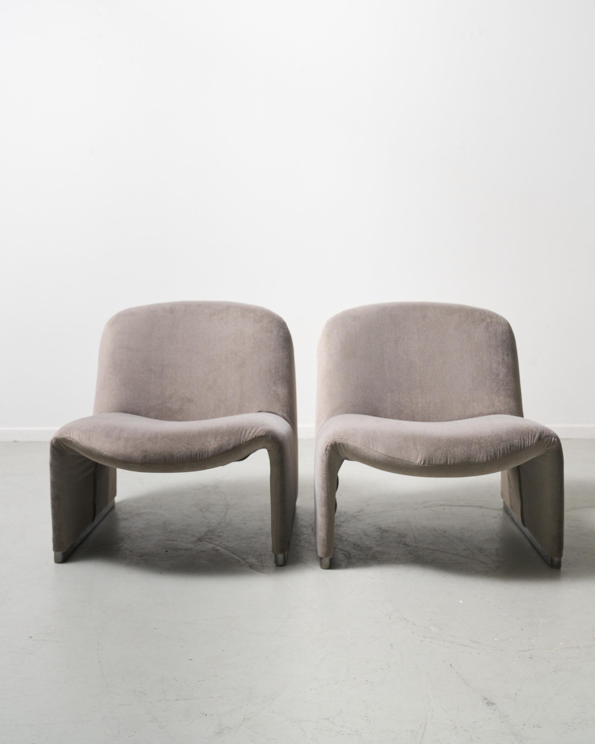 Gray mohair velvet Alky chairs by Giancarlo Piretti for Anonima Castelli For Sale 3