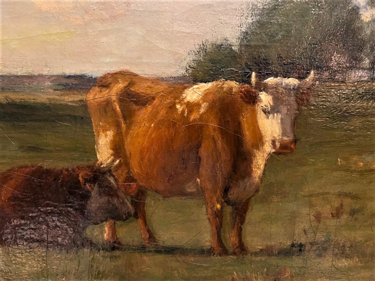 Late 19th Century Grazing Cows, 1878, Oil on Canvas, Joseph Foxcroft Cole, American (1837-1892) For Sale