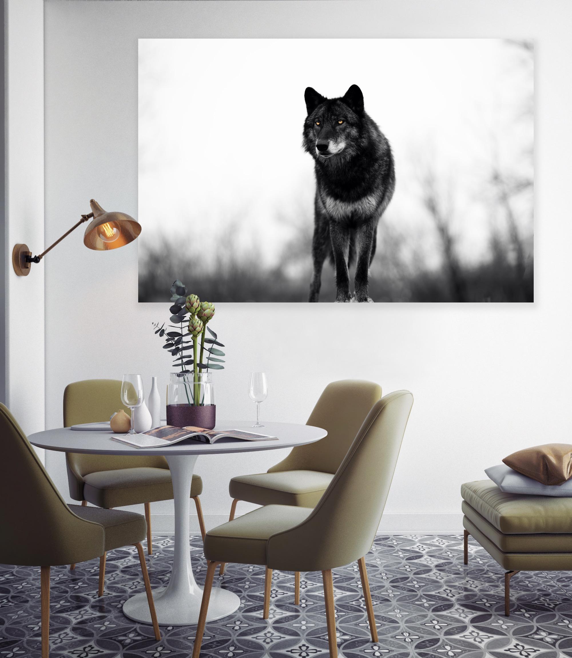 « Big Bad Wolf » - Photographie de faune noire et blanche, Lone Wolf - Gris Black and White Photograph par Gürdal Bibo