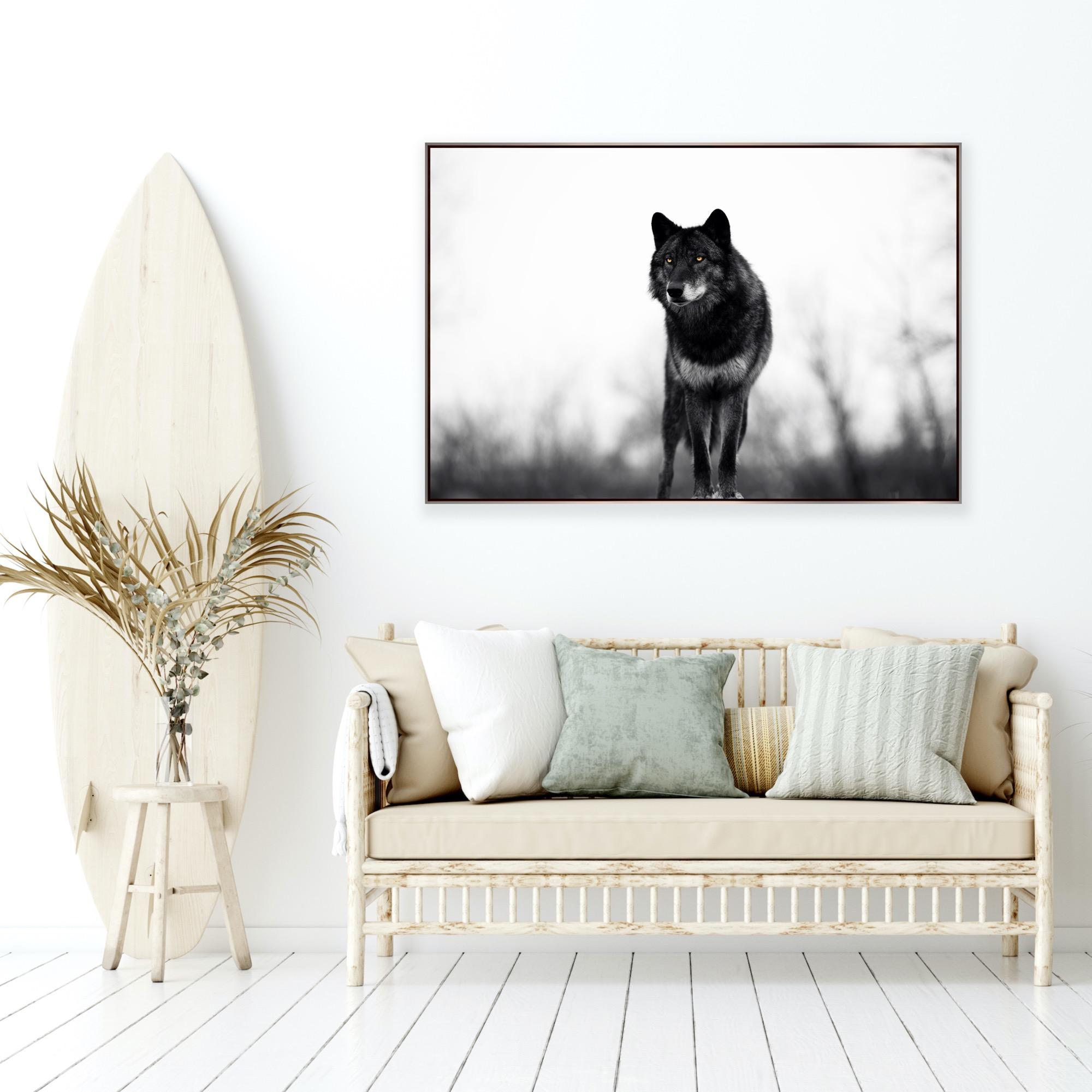 « Big Bad Wolf » - Photographie de faune noire et blanche, Lone Wolf en vente 1