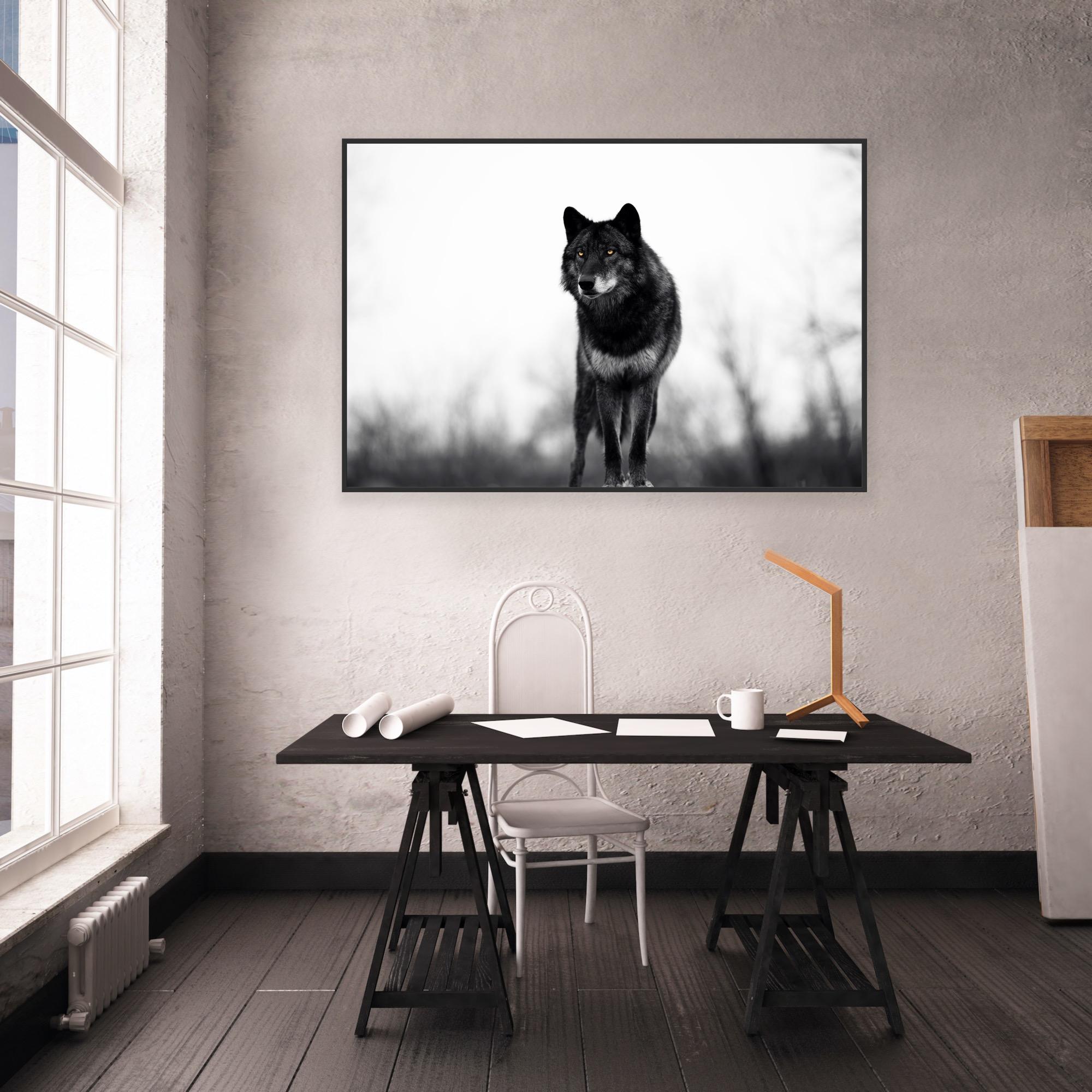 « Big Bad Wolf » - Photographie de faune noire et blanche, Lone Wolf en vente 2