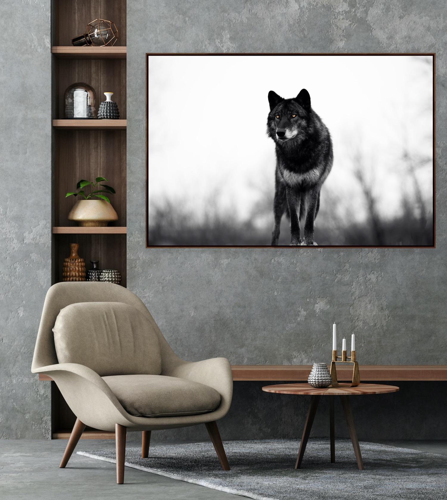 « Big Bad Wolf » - Photographie de faune noire et blanche, Lone Wolf en vente 3
