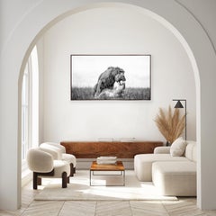 "Fireworks"- Black and White Wildlife Photography, Lions in Africa