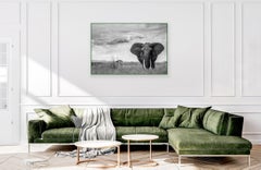 "Mammoth"- Massive African Elephant with Mount Kilimanjaro Backdrop