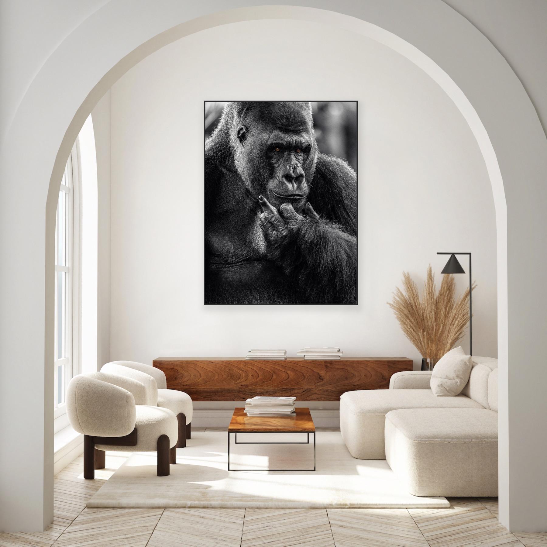 « NY Attitude » - Photographie de faune noire et blanche, Gorilla in Africa - Noir Black and White Photograph par Gürdal Bibo