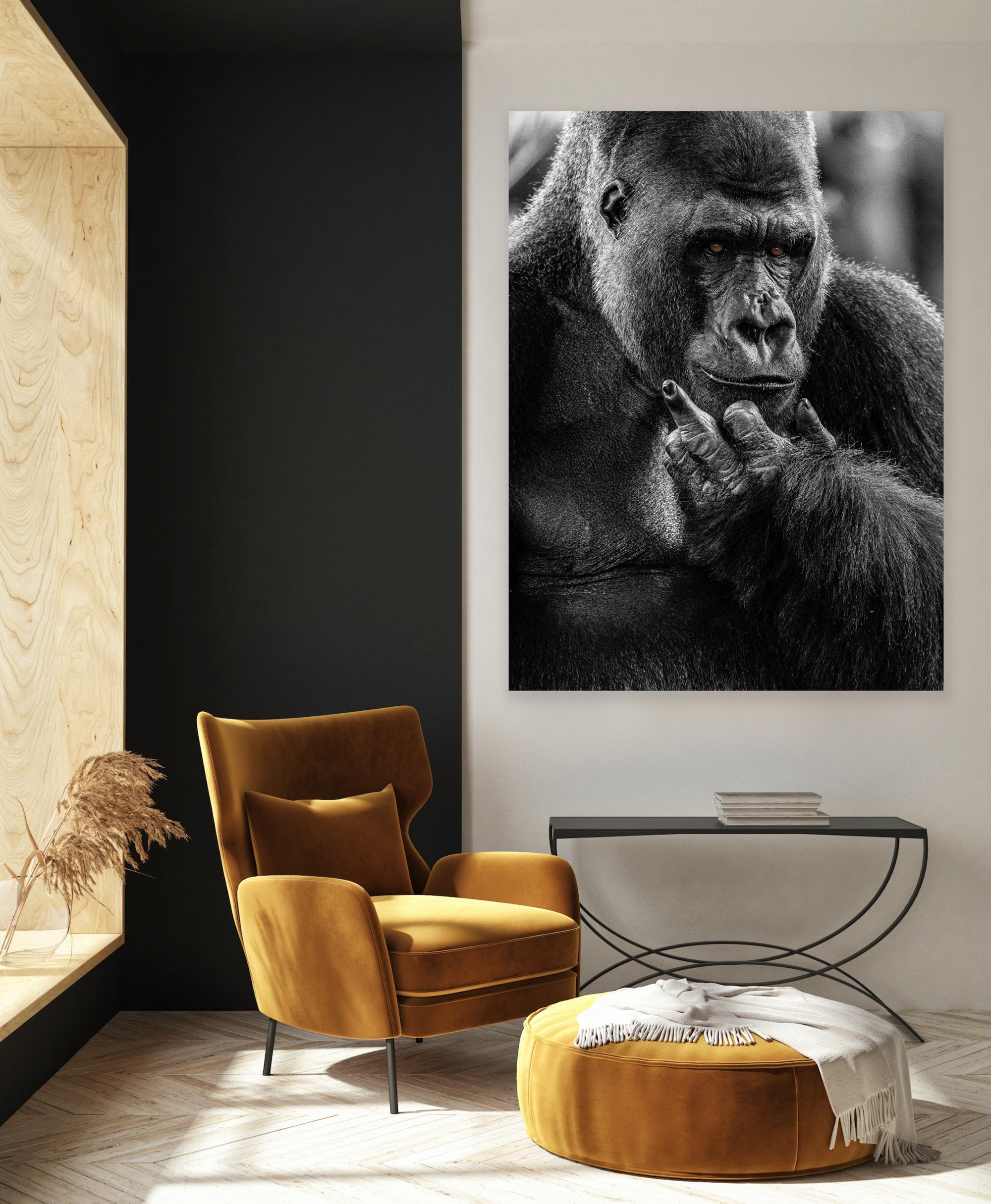 « NY Attitude » - Photographie de faune noire et blanche, Gorilla in Africa en vente 1