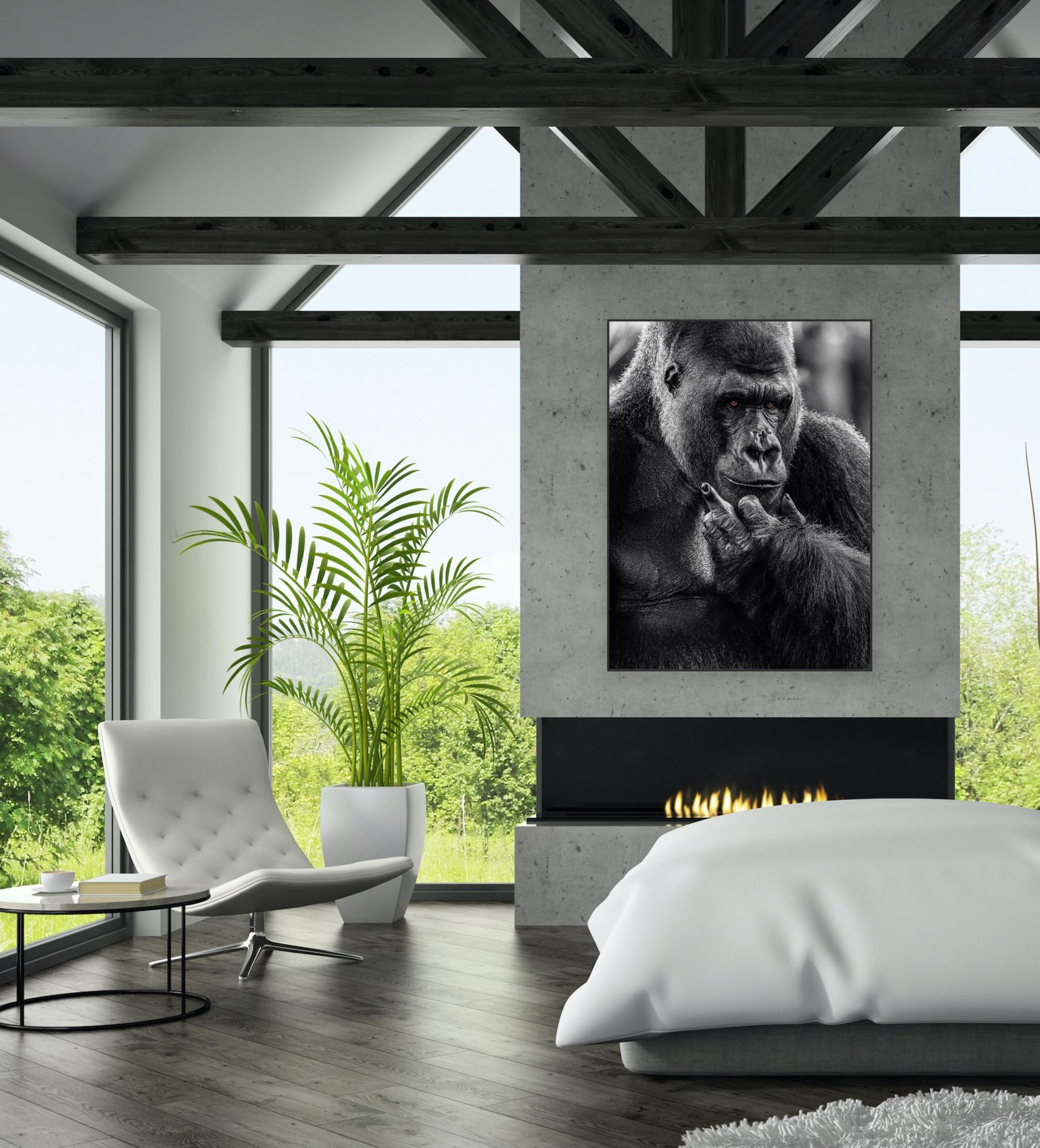 « NY Attitude » - Photographie de faune noire et blanche, Gorilla in Africa en vente 2