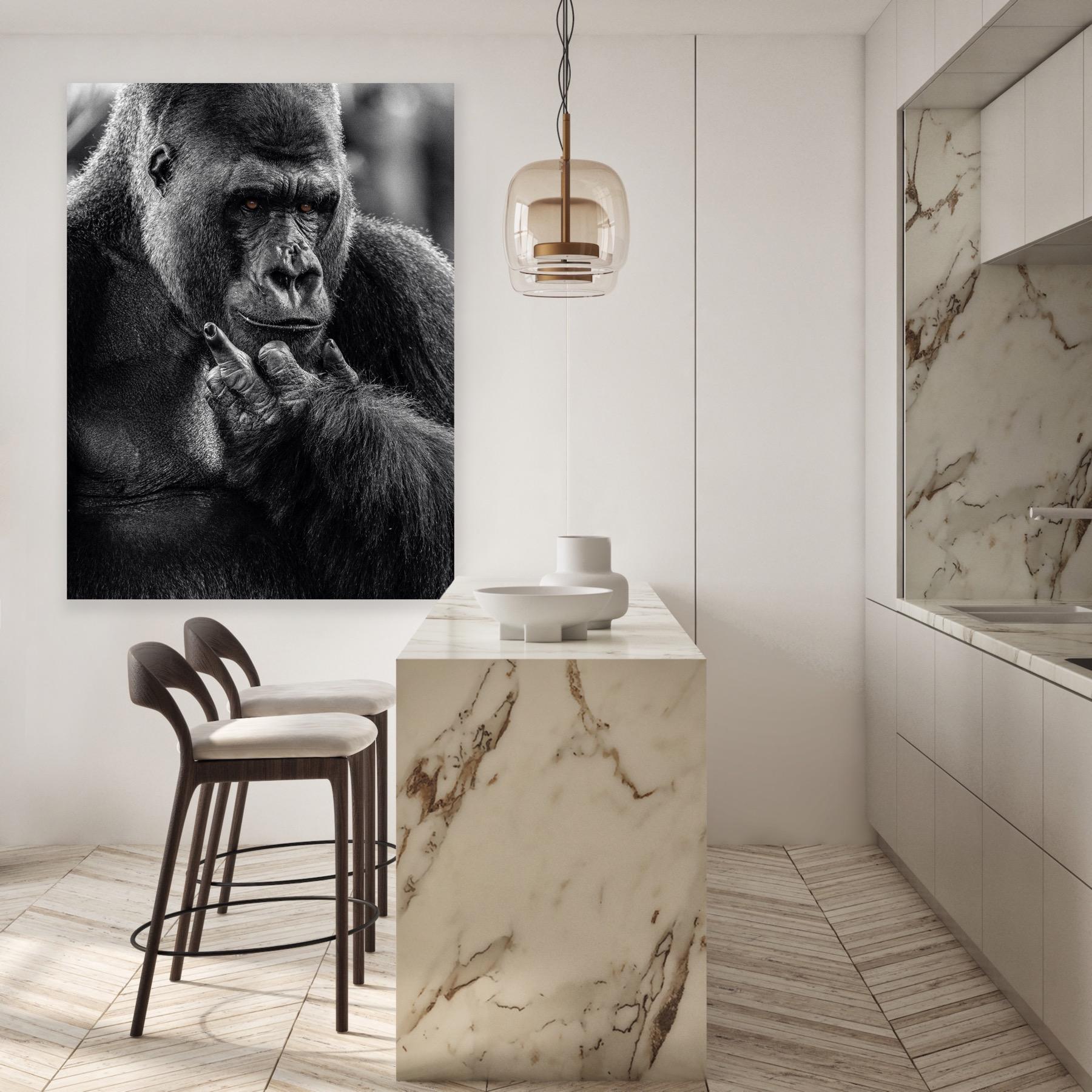 « NY Attitude » - Photographie de faune noire et blanche, Gorilla in Africa en vente 3