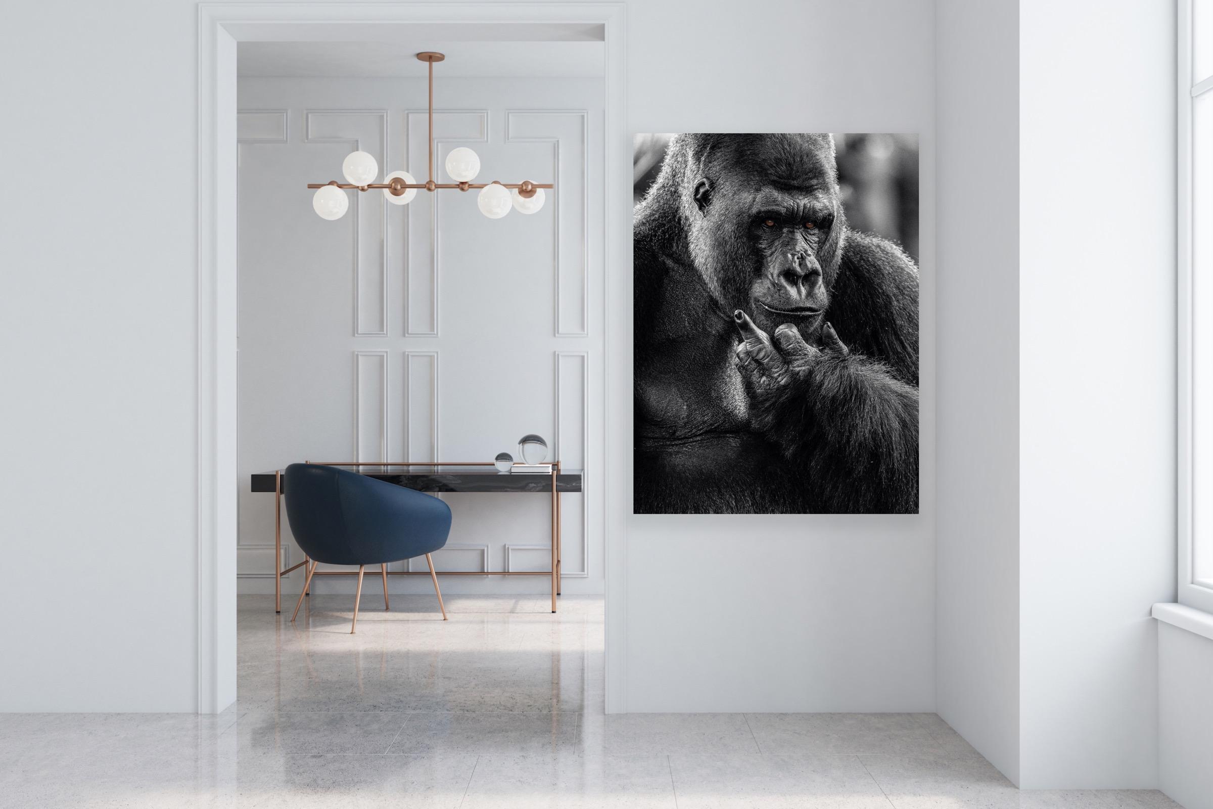 „NY Attitude“ – Schwarz-Weiß- Wildtierfotografie, Gorilla in Afrika im Angebot 3
