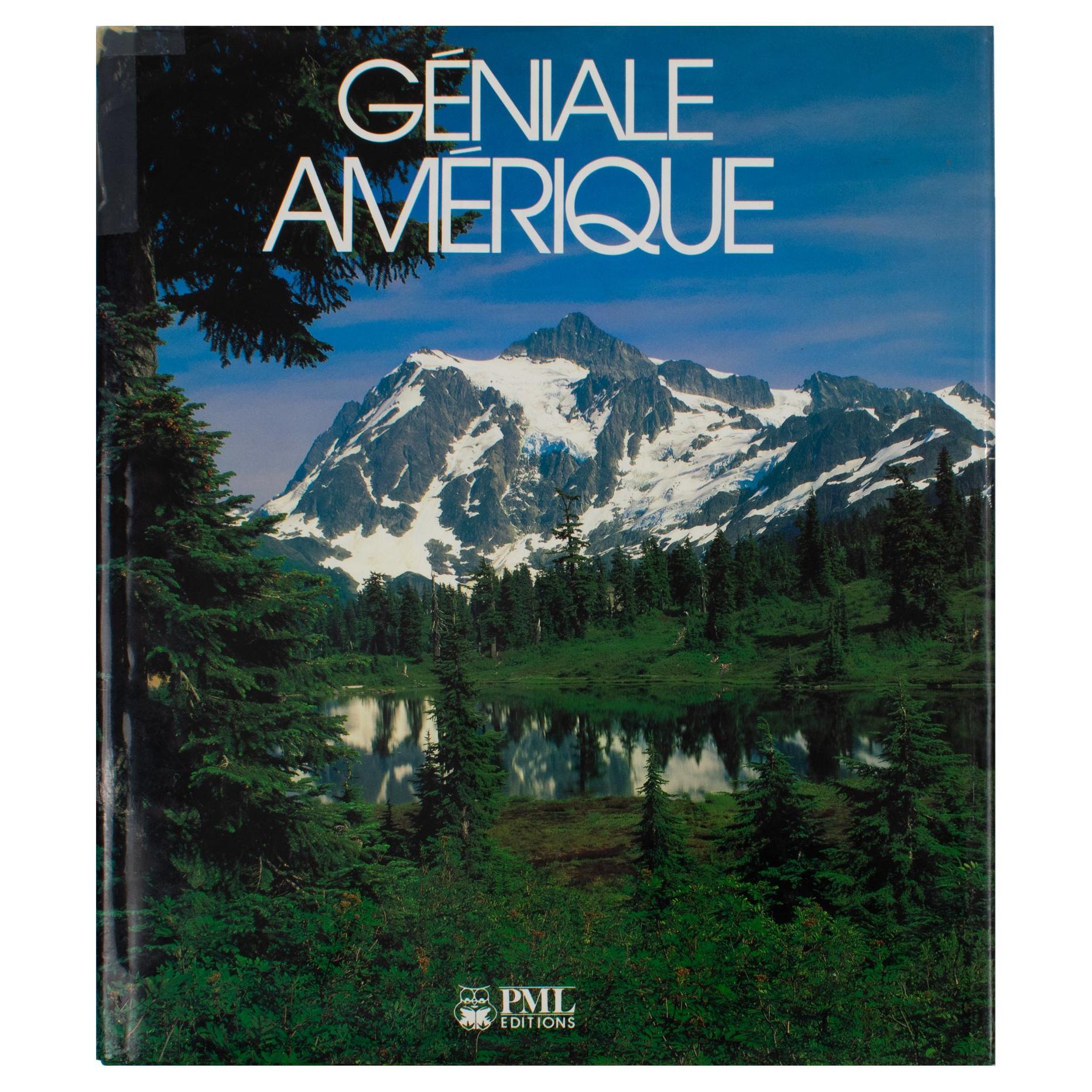 Great America, French Book by PML Editions, 1988 For Sale