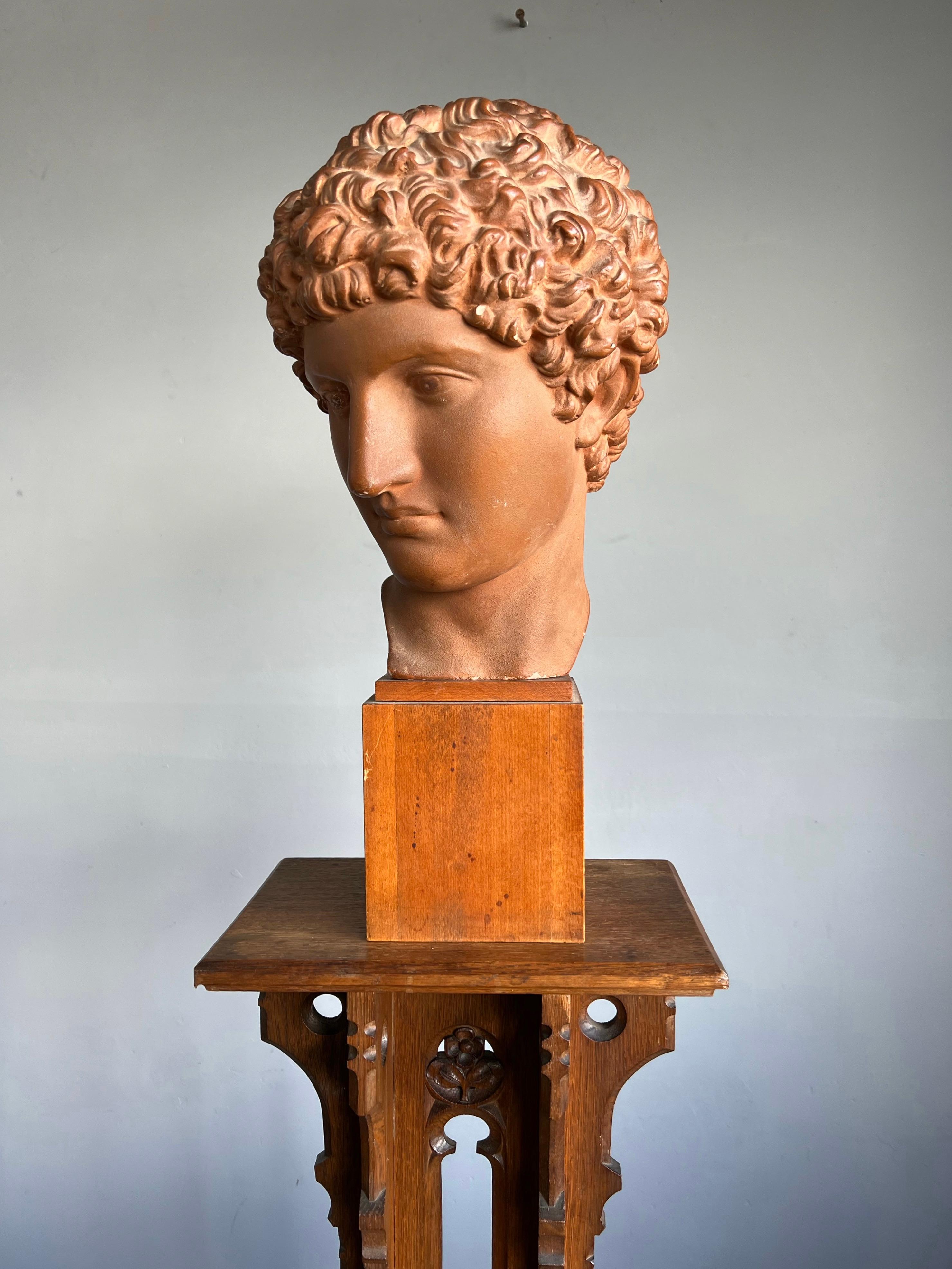 Great Antique and Signed Plaster Bust / Head on a Wooden Base Greek God Hermes 9