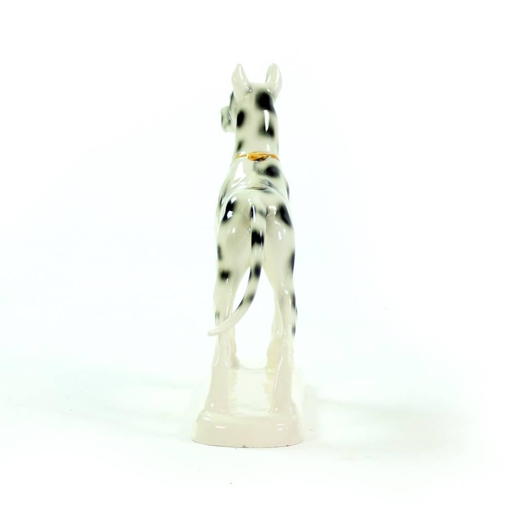 Great Dane Porcelain Sculpture, Hertwig & Co, Germany, circa 1940 5