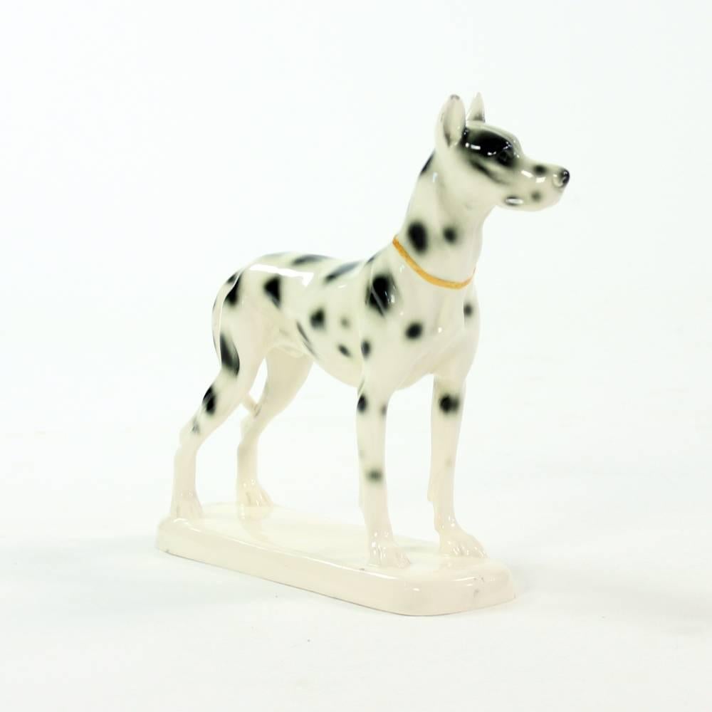 Great Dane Porcelain Sculpture, Hertwig & Co, Germany, circa 1940 2