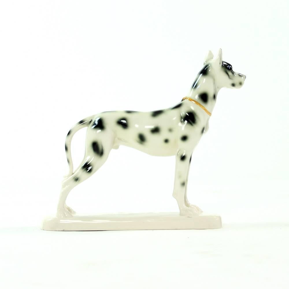Great Dane Porcelain Sculpture, Hertwig & Co, Germany, circa 1940 3