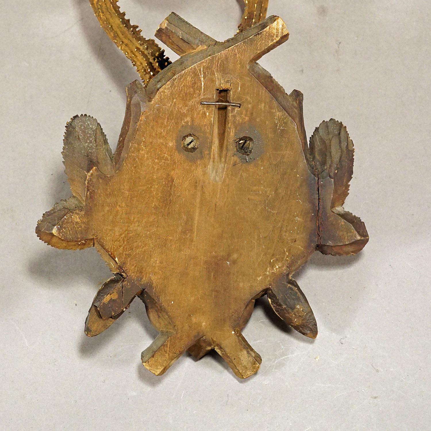 20th Century Great Deer Trophy Mount on Wooden Carved Plaque, 1902 For Sale