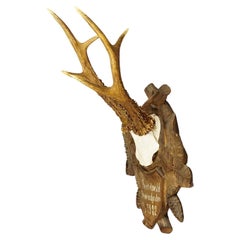 Grand trophée de cerf sur plaque en bois sculpté 1902