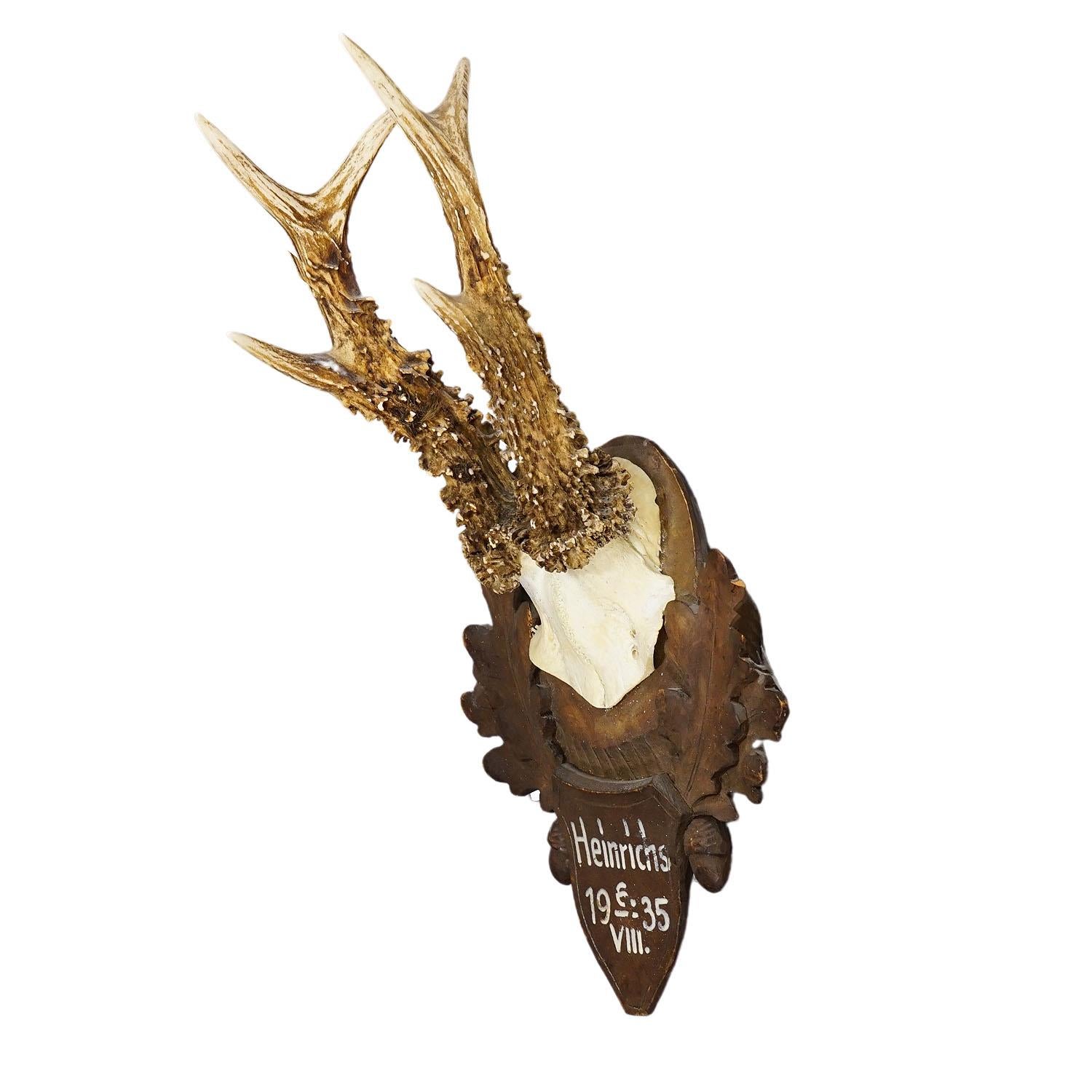 A large antique deer (Capreolus capreolus) trophy on a wooden carved plaque with brown finish. The trophy was shot in 1935. Good condition with hand painted inscription on the plaque.
Trophies are mementos from the hunted game, which are kept by the