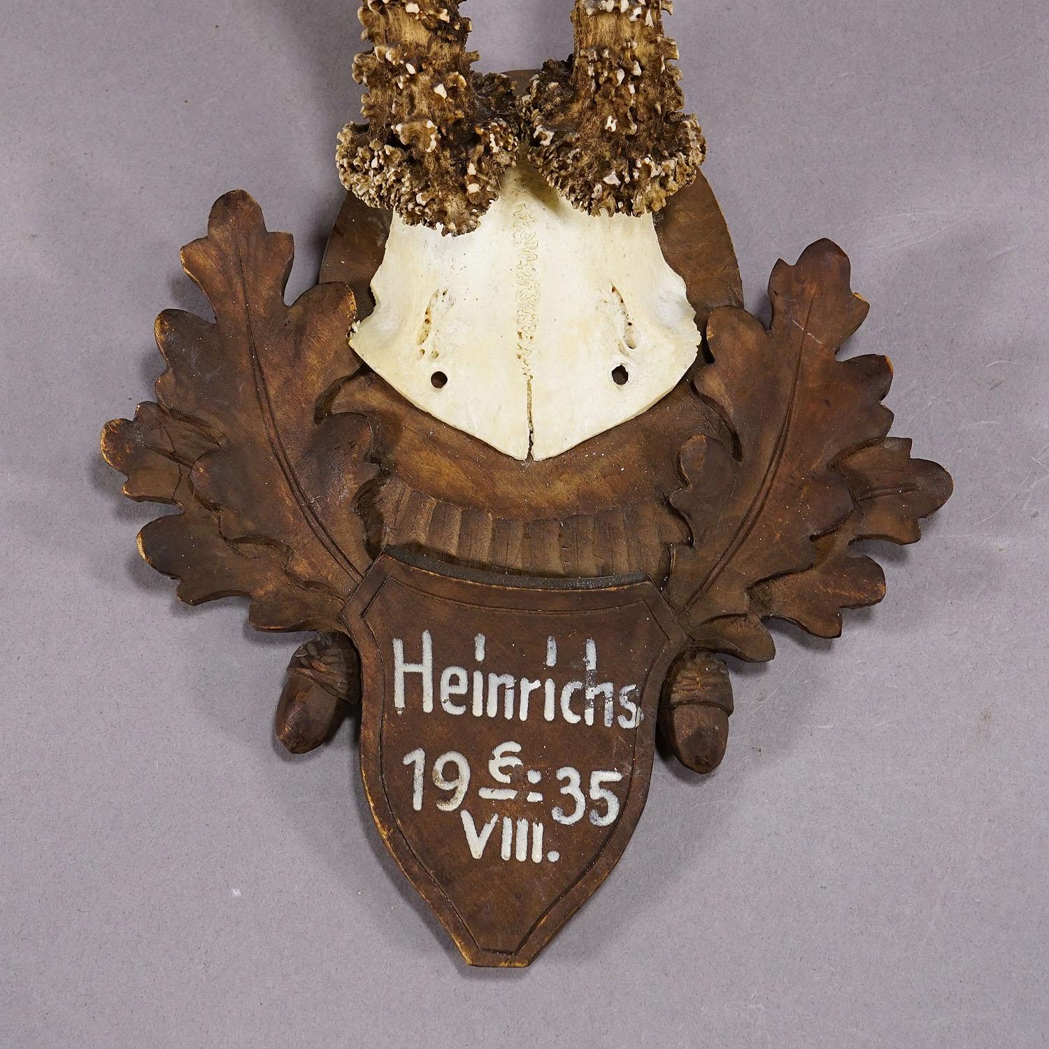 Trophée en forme de cerf sur plaque en bois sculpté 1935 Bon état - En vente à Berghuelen, DE