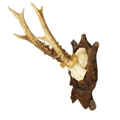 Great Deer Trophy Mount on Wooden Carved Plaque ca. 1900s