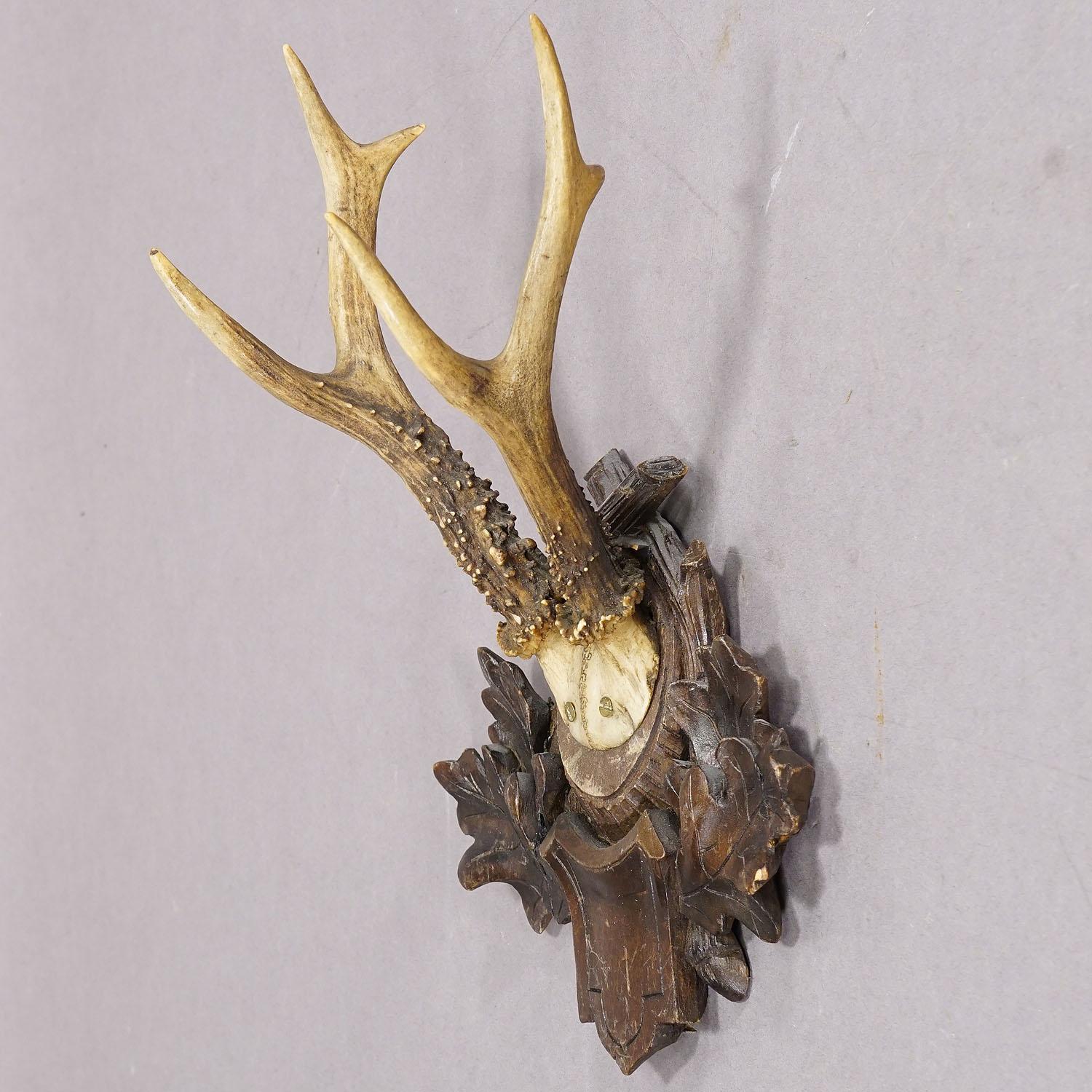 Große Hirsch-Trophäe auf geschnitzter Holzplakette, ca. 1900er Jahre (Rustikal) im Angebot