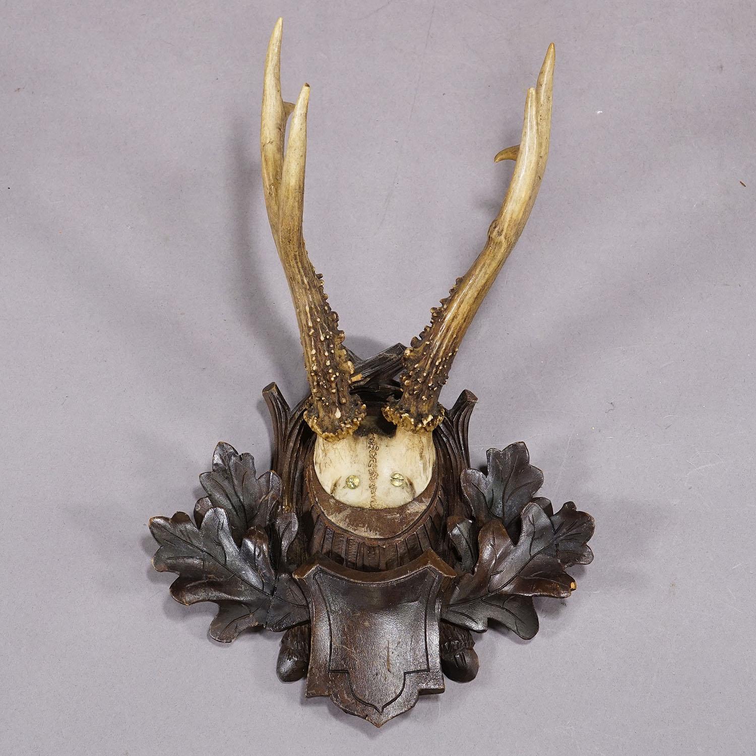 Rustic Great Deer Trophy Mount on Wooden Carved Plaque, circa 1900s For Sale