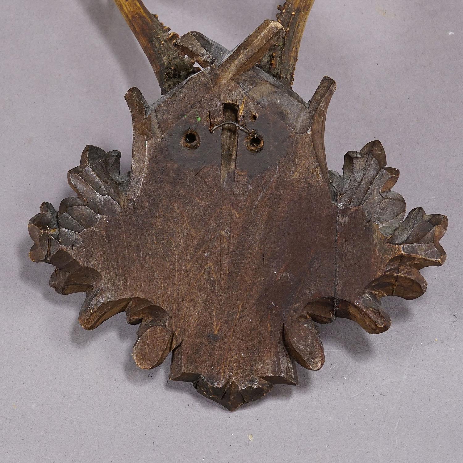 Große Hirsch-Trophäe auf geschnitzter Holzplakette, ca. 1900er Jahre (20. Jahrhundert) im Angebot