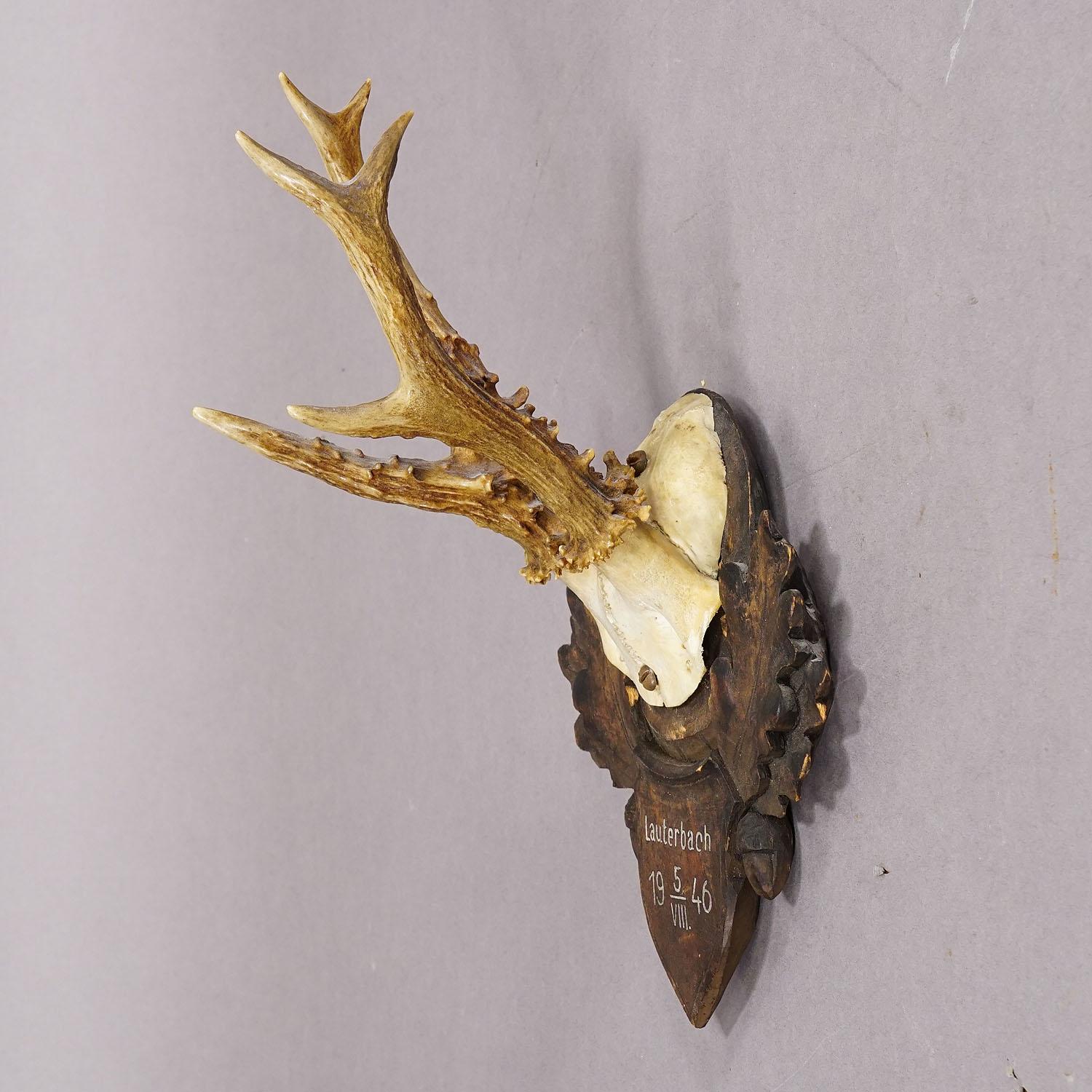 Rustique Trophée en forme de cerf sur plaque en bois sculpté, vers 1946 en vente