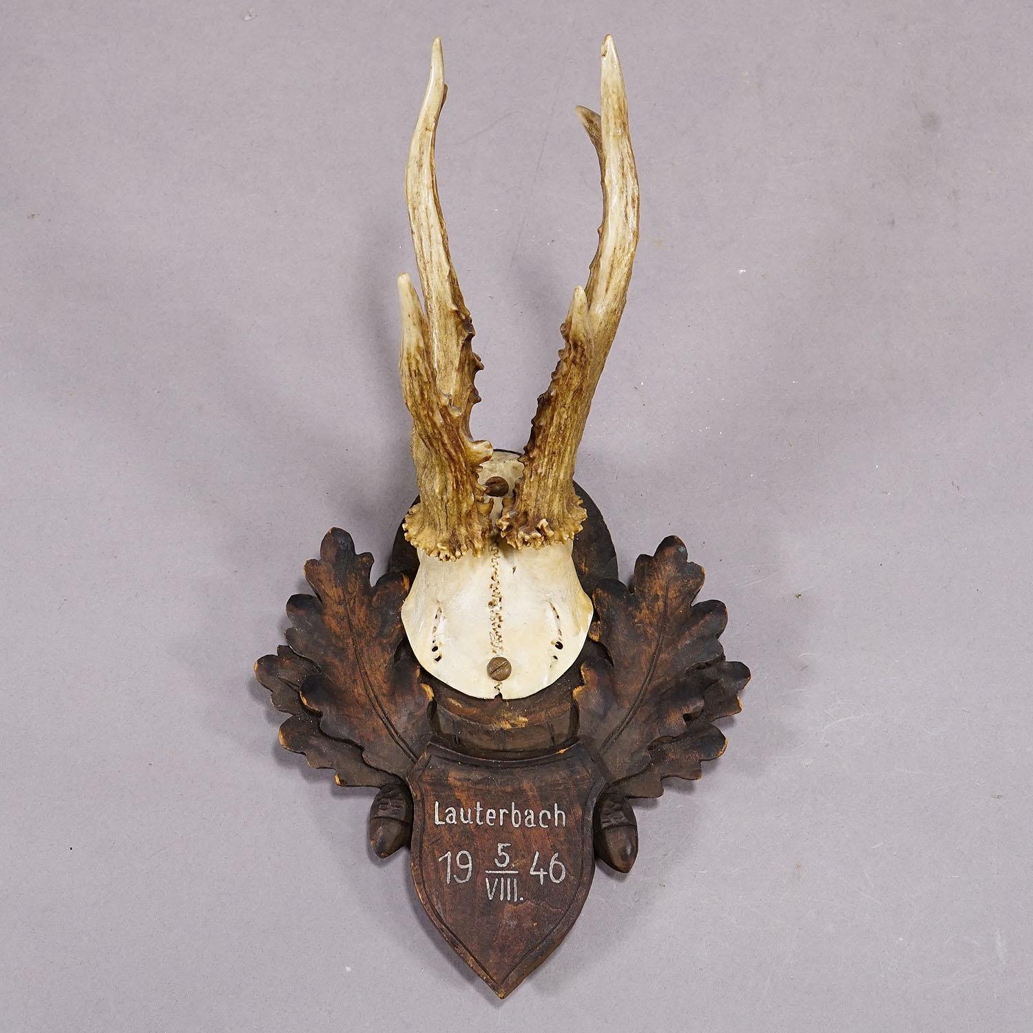 Allemand Trophée en forme de cerf sur plaque en bois sculpté, vers 1946 en vente