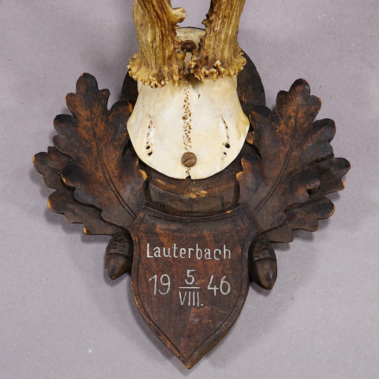 Trophée en forme de cerf sur plaque en bois sculpté, vers 1946 Bon état - En vente à Berghuelen, DE