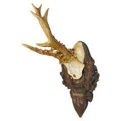 Great Deer Trophy Mount on Wooden Carved Plaque ca. 1946