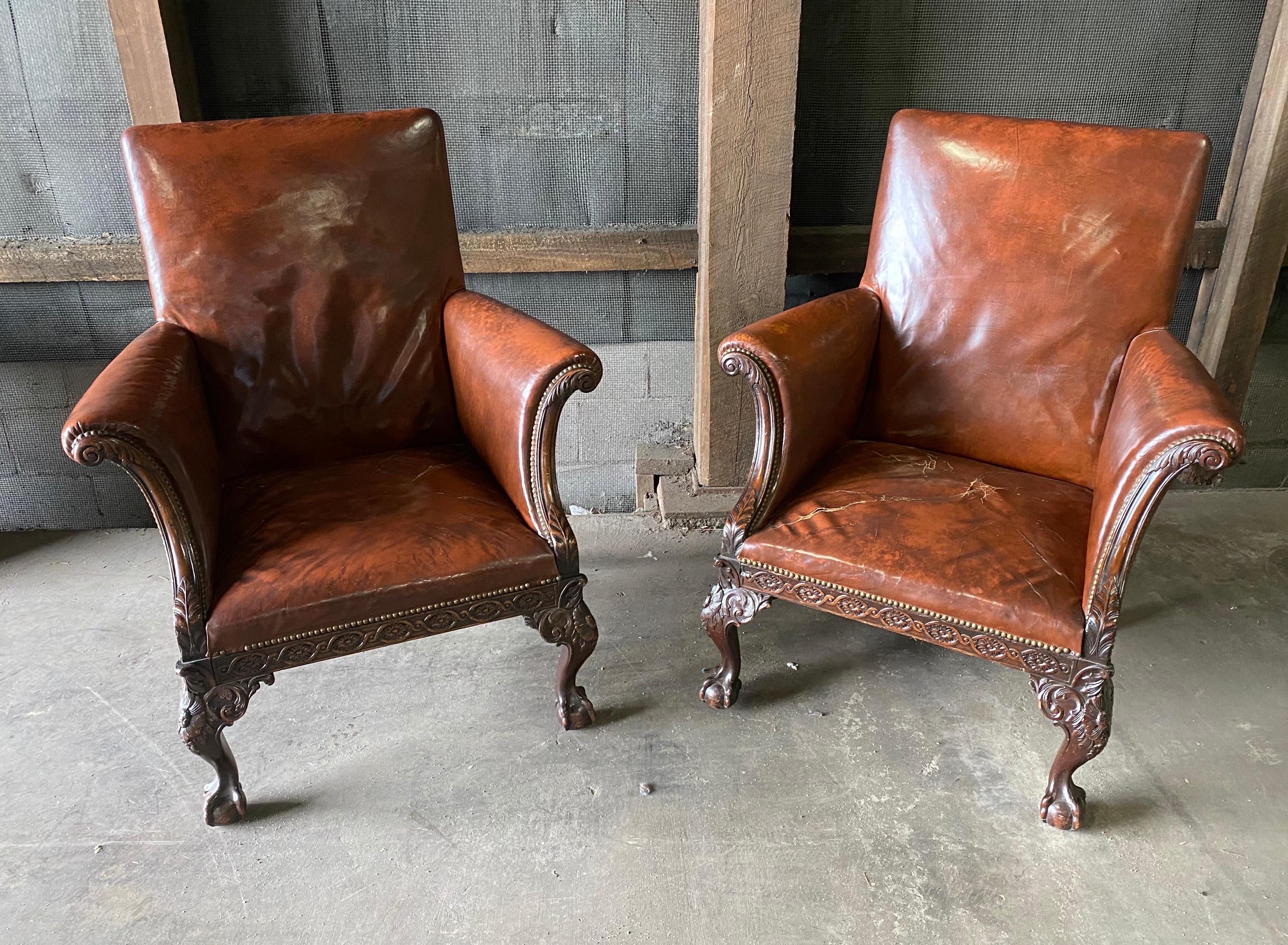 Great pair of 19th century English mahogany and leather armchairs with splayed hand carved arms, seat rail, knees all on claw and ball feet.