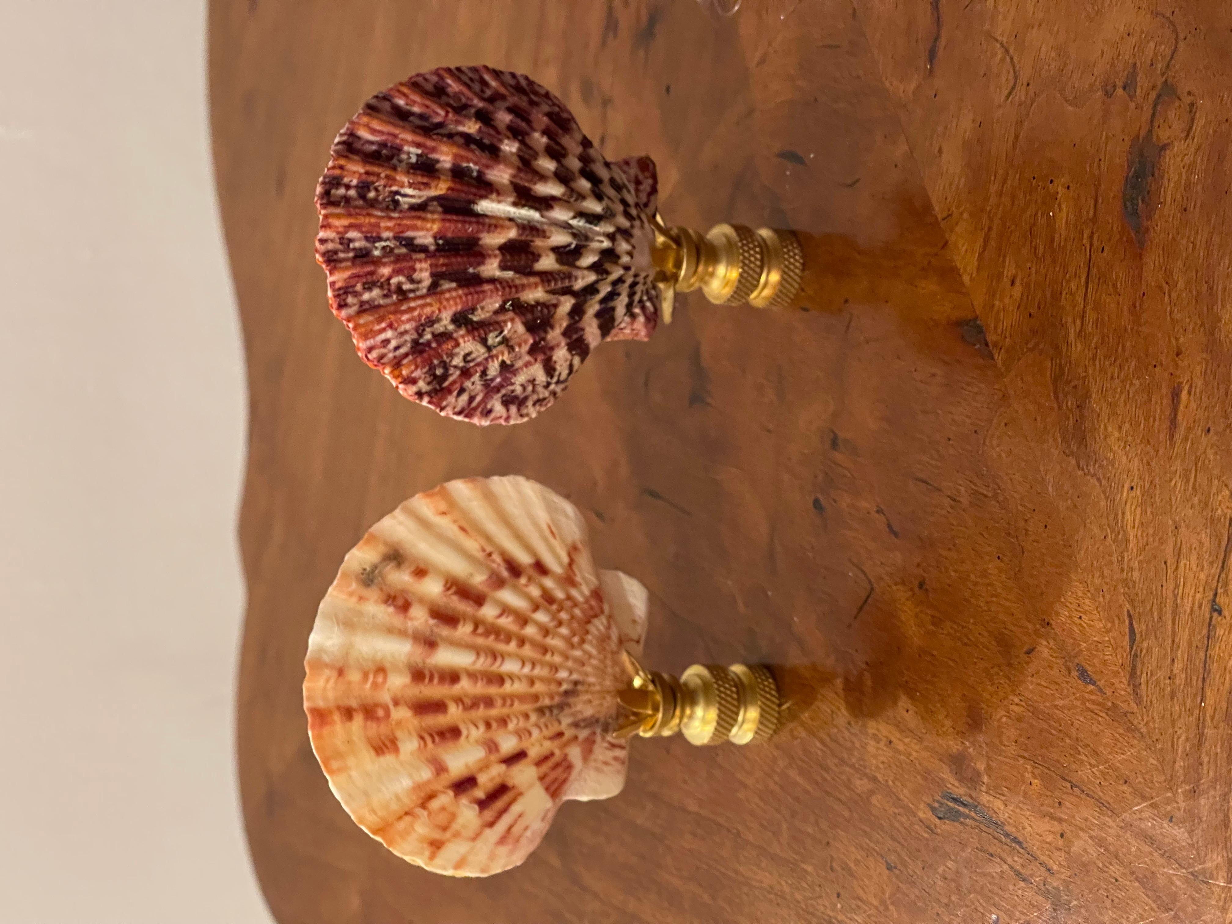 Great pair of lamp finials. -double sided  polished sea shells on brass .
