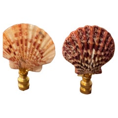 Great Pair of Sea Shell Lamp Finials Brass Retro Great Pair of Sea Shell Lamp Finials Brass