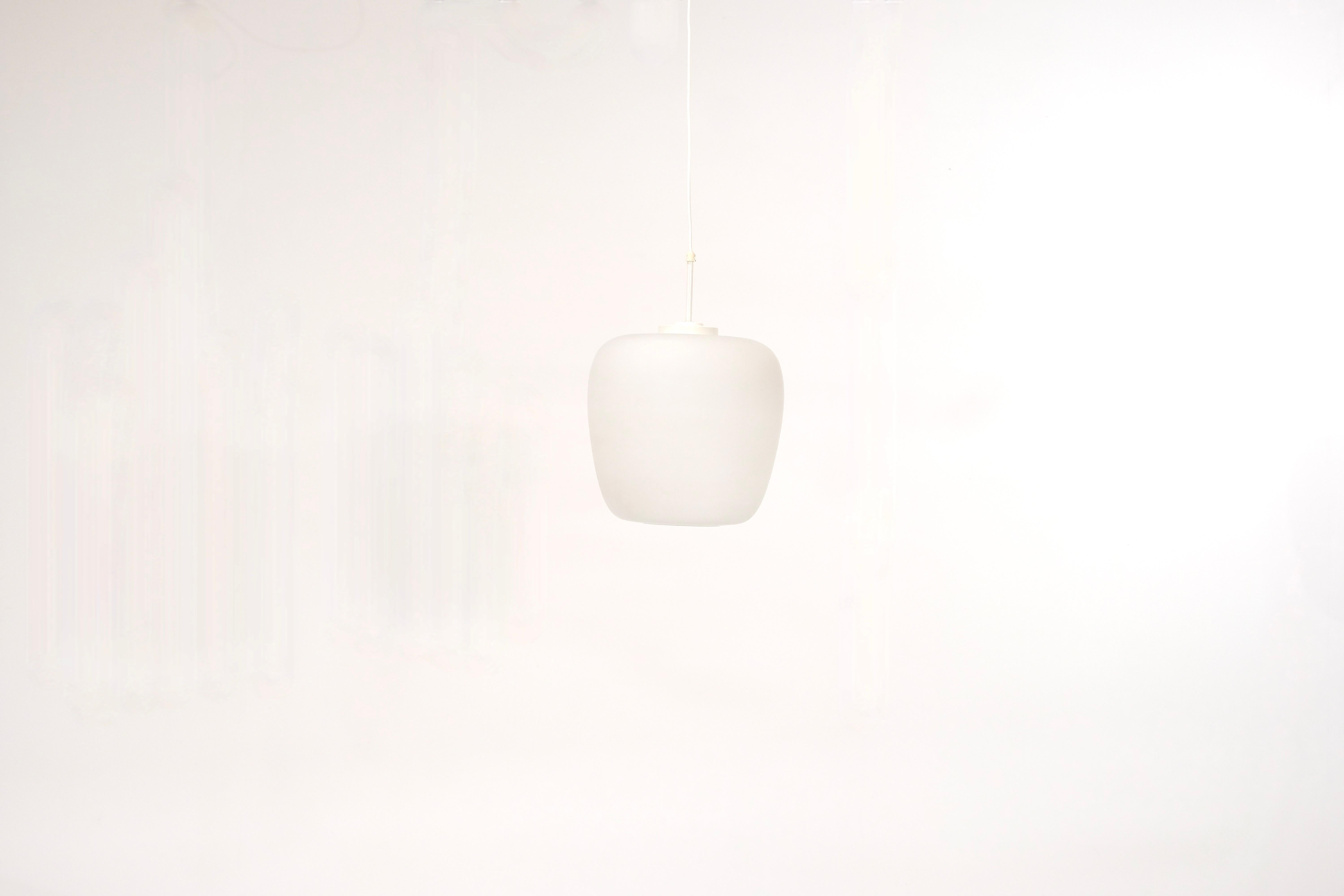 Grande lampada a sospensione nello stile di 