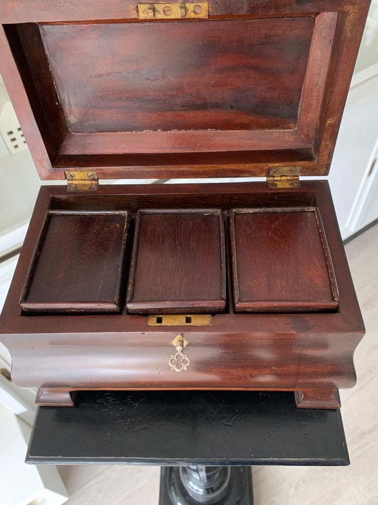 Great Shape and Color, Antique Tea Caddy in Mahogany with Brass Lock