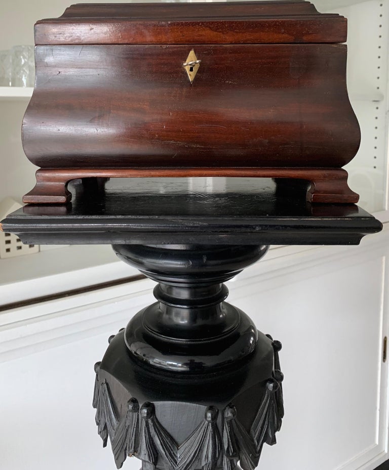 Great Shape and Color, Antique Tea Caddy in Mahogany with Brass Lock