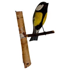 Great Tit Viechtauer Hand Carved Wood Bird Black Forest Folk Art, Austria, 1920s