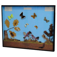 Gran Expositor Vintage para la Enseñanza Escolar de los Insectos de la Orilla del Bosque