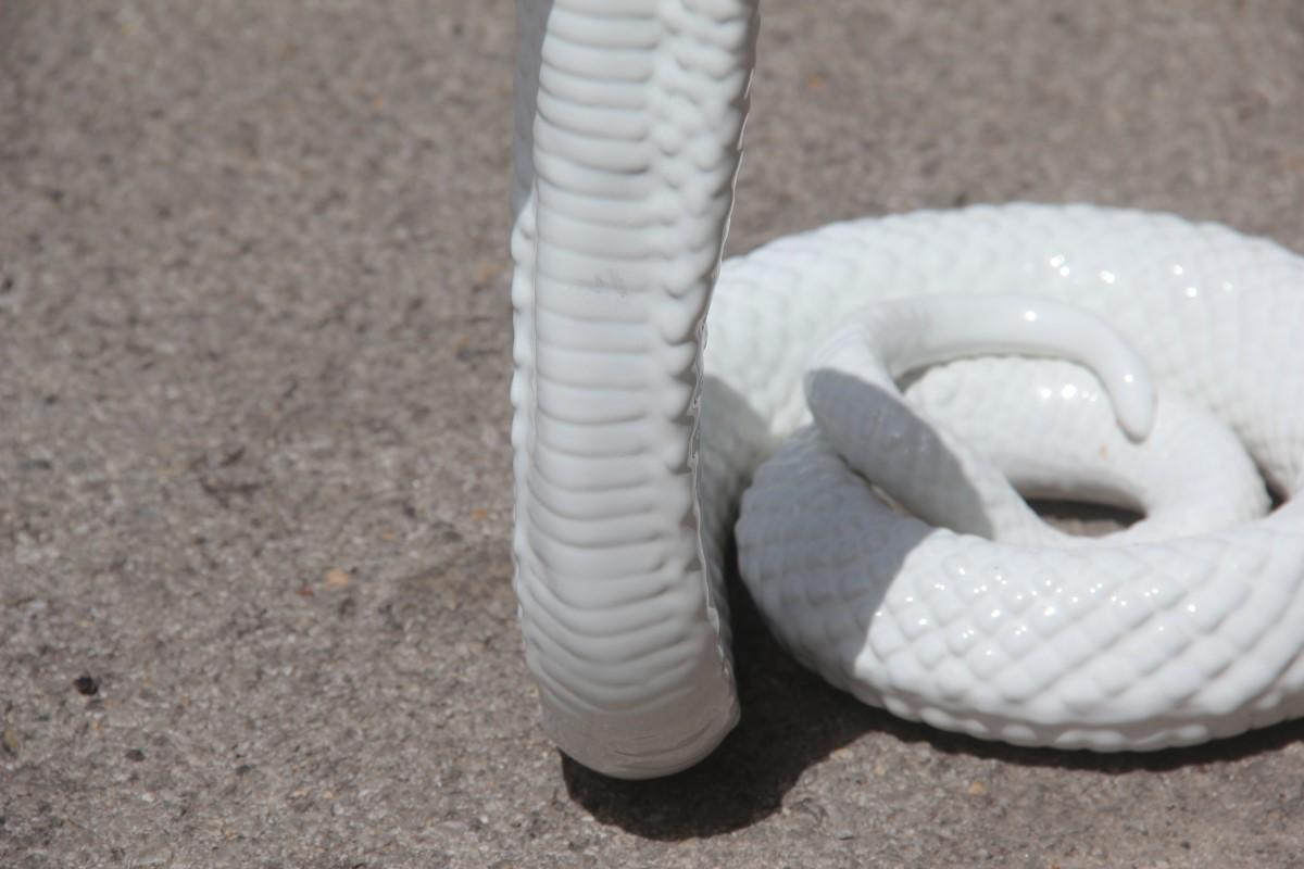 snake ceramics
