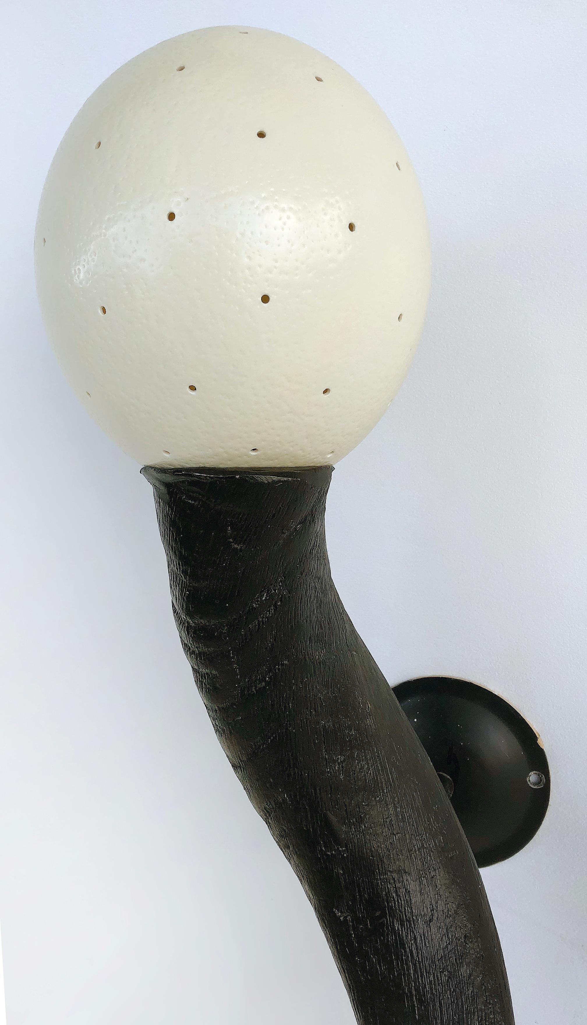 egg horn